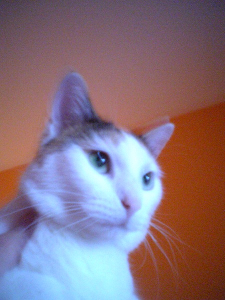 Hazel!