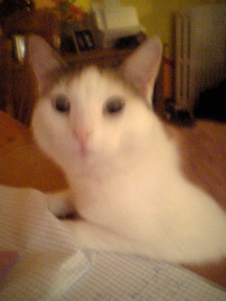 Hazel!